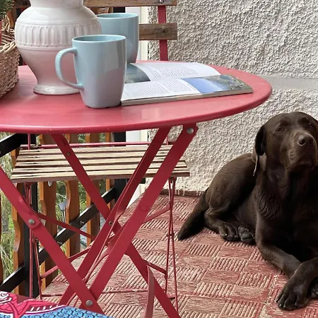 Betato ✪ Terraza, Wifi & Trastero - Pirineos360 * Formigal