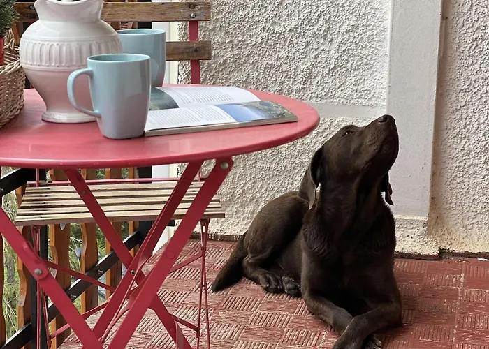 Betato ✪ Terraza, Wifi & Trastero - Pirineos360